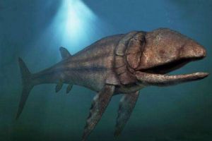 世界上最大的硬骨鱼类，利兹鱼（地球最大鱼/灭绝1.65亿）