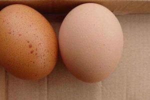 鸡蛋上有斑点能吃吗，可以吃（煮熟后吃安全又健康）