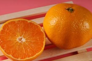橙子不能和什么一起吃，蛤蜊、虾、猪肉（同食有害健康）
