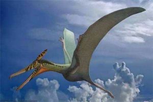 脊颌翼龙是什么样的恐龙 膜就是翅膀头骨上长脊的怪物