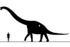 春雷龙：北美洲大型食草恐龙（长15米/距今1.5亿年前）
