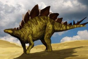 剑龙：北美洲大型食草恐龙（长9米/侏罗纪中数量最多）