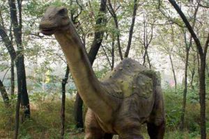 萨尔塔龙：南美洲大型食草恐龙（长13米重8吨/防御力强）