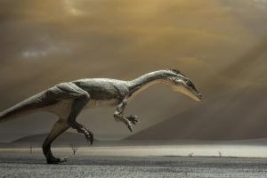 沙漠龙：亚洲大型食草恐龙（长7米/1.12亿年-1亿年前）