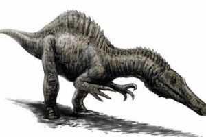 暹罗龙：亚洲大型食肉恐龙（长9.1米/牙齿与棘龙相似）