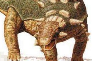 窃肉龙：欧洲小型食草恐龙（长3米/约1亿6千万年前）