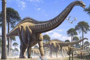 超龙：北美洲超巨型恐龙（长42米/世界上最长的恐龙）