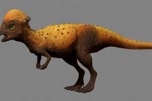 圆头龙：北美洲小型食草恐龙（生活在白垩纪晚期的美国）