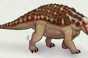 剑节龙：中国小型食草恐龙（长3米/白垩纪晚期的甘肃）
