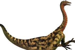 肢龙：欧洲小型食草恐龙（长4米/疑似甲龙的祖先）