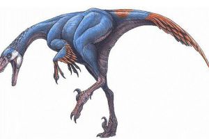 中国鸟脚龙：长1.1米/最小的肉食性恐龙（距今1亿年前）