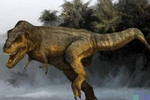 山阳龙：中国小型食肉恐龙（长2.5/距今6500万年前）