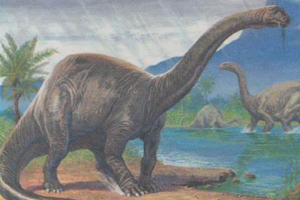 巨型梁龙科恐龙:原雷龙 身长超过20米(走路发出雷震声)