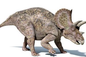 三角区龙：巴西大型食草恐龙（长9.5米/距今6500万年前）