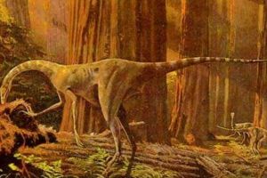 芦沟龙：云南小型食肉恐龙（长2米/距今1.96亿年前）