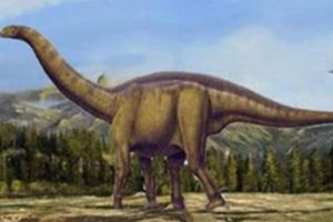 峨眉龙：侏罗纪后期大型食草恐龙（长21米/中国四川出土）