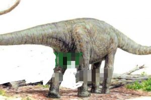 澳洲南方龙：澳大利亚食草恐龙（长15米/9800万年前）