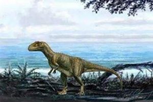 气腔龙：阿根廷大型食肉恐龙（长9米/距今8400万年前）