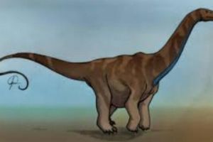 杏齿龙：阿根廷大型食草恐龙（长15米/距今1.67亿年前）