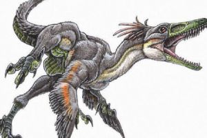 乌奎洛龙：阿根廷小型食肉恐龙（长3米/距今7000万年前）