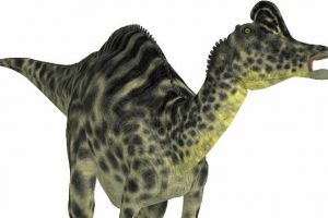威拉弗龙：北美洲大型食草恐龙（长10米/7000万年前）