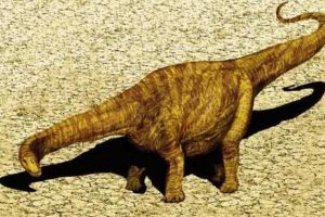 毒龙：美国大型食草恐龙（长8米/距今1.3亿年前）