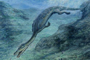 幻龙:鳍龙类爬行动物(最小仅36厘米/最大可达6米)