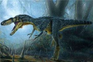 阿巴拉契亚龙：北美洲的肉食恐龙代表（双足长腿恐龙）