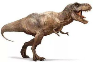阿贝力龙：一种生活在白垩纪时期的恐龙（肉食性恐龙）
