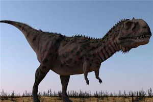 阿拉斯加头龙：厚头龙科的恐龙（生活在白垩纪晚期）