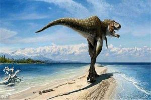 艾伯塔龙：分布于北美洲西部的恐龙（肉食恐龙）