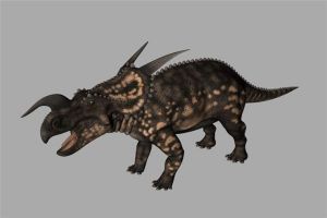 爱氏角龙：一种小型的角龙科恐龙（生活在白垩纪时期）