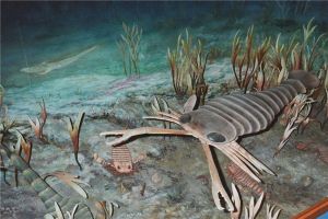 板足鲎：一种已经灭绝的节肢动物（四亿年前）