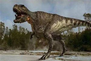 博纳巨龙：一种身材高大的恐龙（生活在距今8300万年前）