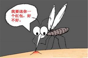 恐怖虫：一种罕见的蚊子 因为外形丑陋而得名