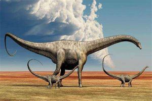 地震龙：一种身材高大的动物（生存在2亿年前）