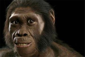 人类的早期祖先:古猿,最早发现于埃及（属新生动物）