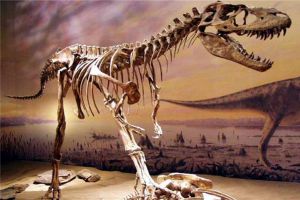 阿纳萨齐龙：长有鸭嘴的恐龙（生活在晚白垩纪时代）