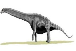 安第斯龙：阿根廷的超巨型恐龙（备受关注的恐龙）