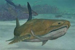 盾皮鱼：一种已经灭绝的鱼类（繁衍了几百万时间）
