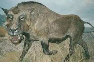 古巨猪：生存于距离现在有3500万年之前（北美西部）