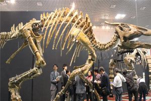 鲸龙：侏罗纪时期的原始恐龙（蜥脚类的恐龙）