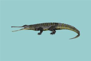 狂齿鳄：湖泊中的顶级猎食者（距今两亿多年时间）