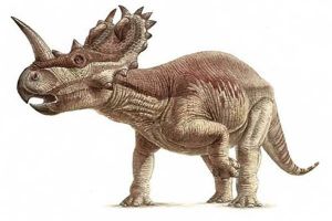 黎明角龙：与众不同的角龙类恐龙（基础的角龙类恐龙）