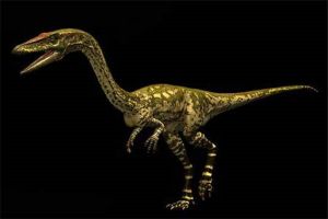 腔骨龙：北美洲里的小型肉食恐龙代表（最早了解的恐龙）