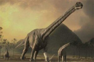 阿根廷龙：最大的陆地恐龙（生活在白垩纪中期）