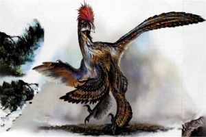 近鸟龙：色彩斑斓的大型生物（属于小型恐龙）