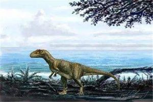 气腔龙：兽脚亚目中的一种（生存在白垩纪晚期的恐龙）