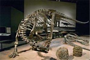 刃齿龙：欧洲发现的新角龙类恐龙（鸟臀目的恐龙）