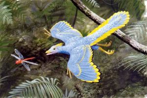 始祖鸟：已灭绝的羽毛恐龙（一种原始的小型恐龙）